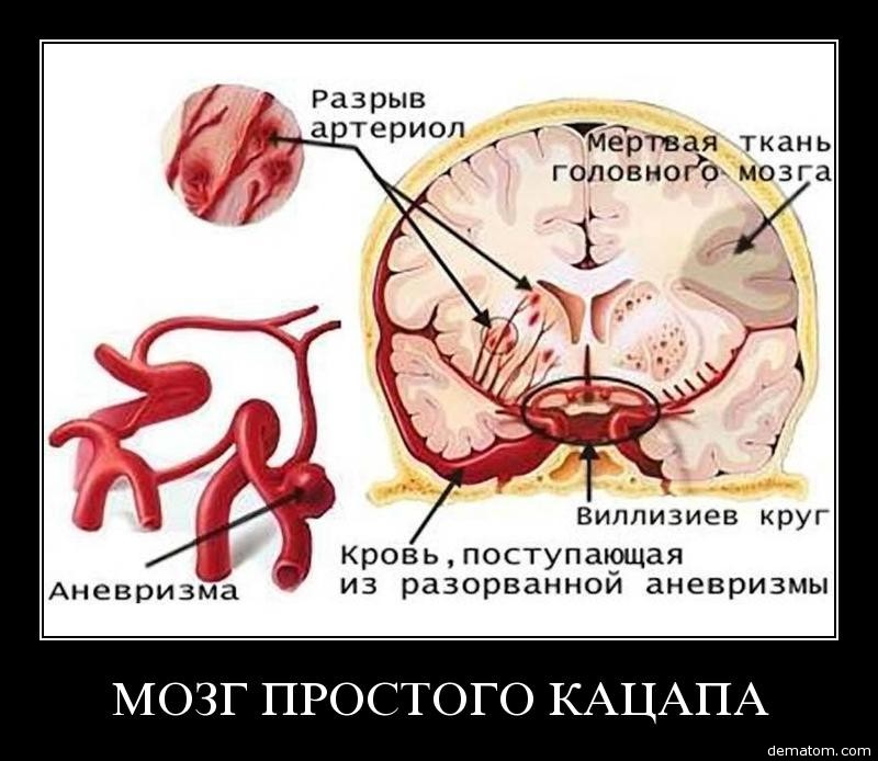 мужчины и женщины вместе без купальников